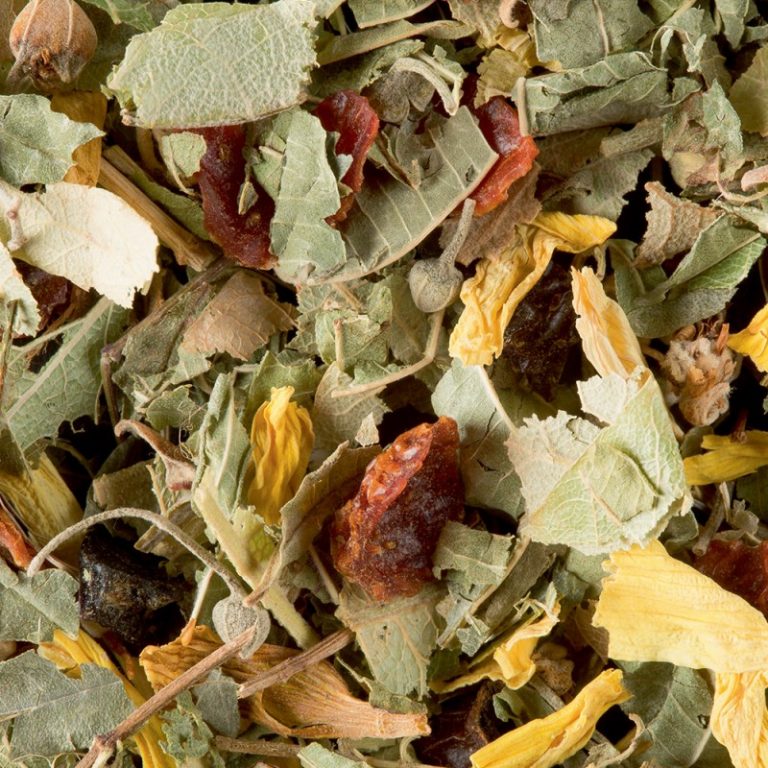 tisane de la reyne dammann frères