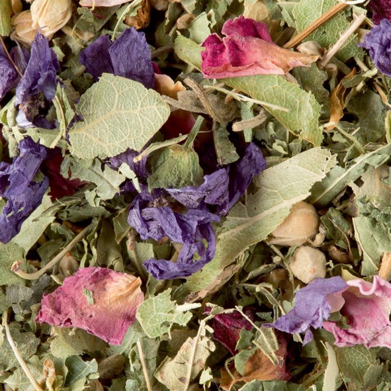 tisane des merveilles dammann frères