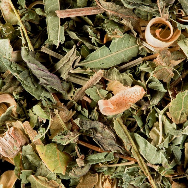 tisane du berger dammann frères