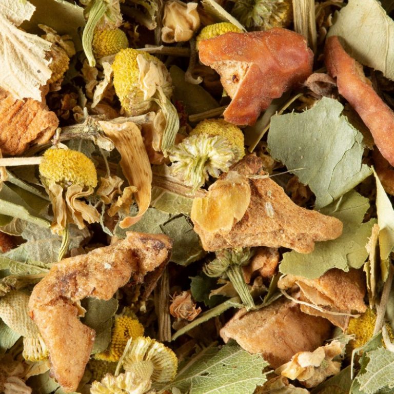 tisane fleur d'oranger dammann frères