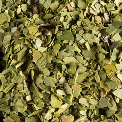 maté vert dammann frères