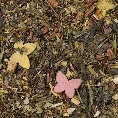 the couleur papillon christine dattner